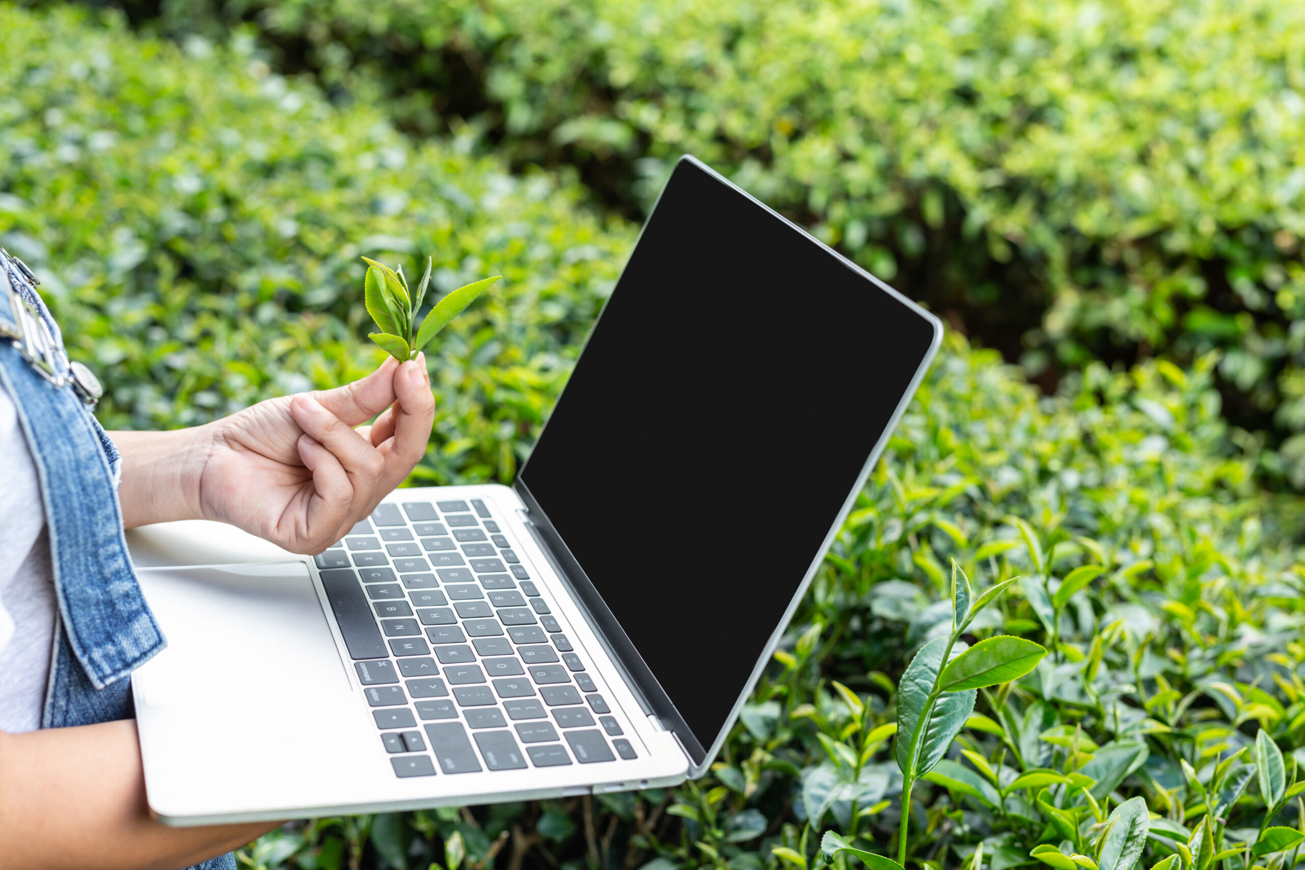 ConectarAGRO encerra ciclo após consolidar conectividade rural como pauta estratégica para o agro