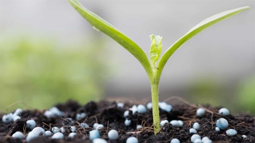 Bioinsumos ganham espaço com alta dos fertilizantes e dependência externa