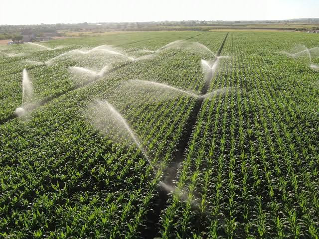 Oeste da Bahia e Matopiba seguem impulsionando o agro brasileiro, mas infraestrutura ainda limita competitividade