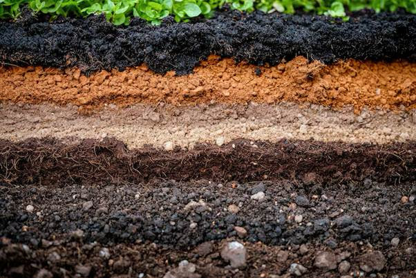 Allterra revela novo propósito para acelerar a evolução da agricultura