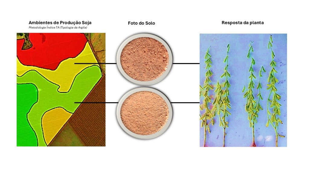 ecnologia que “lê” o solo transforma manejo agrícola e comprova ganhos de produtividade