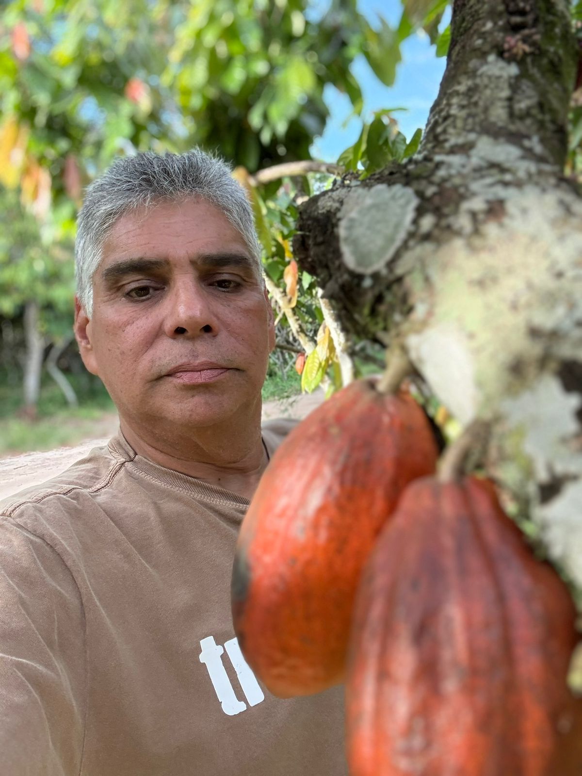 Nova fase do chocolate começa pela transparência