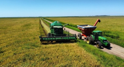 Preparo antecipado do solo ganha peso na safra de arroz 2026/27 sob El Niño