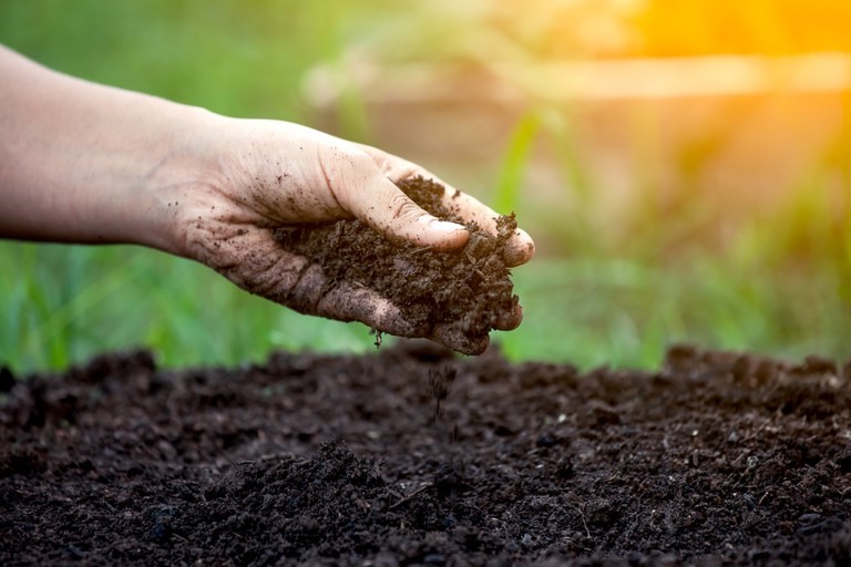 Área tratada com defensivos agrícolas cresce 5% no primeiro semestre de 2026