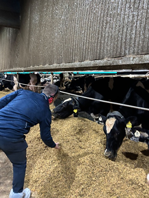 Yeast Experience, da ICC Nutrição Animal, apresenta a ciência por trás das leveduras na saúde animal