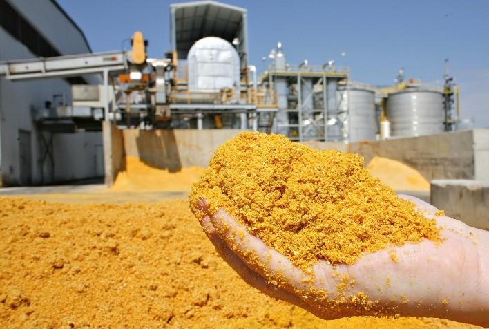 Produção de DDG pode superar 15 milhões de toneladas até 2030 no Brasil