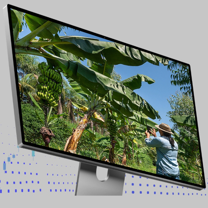 Curso gratuito aborda revolução digital na agricultura