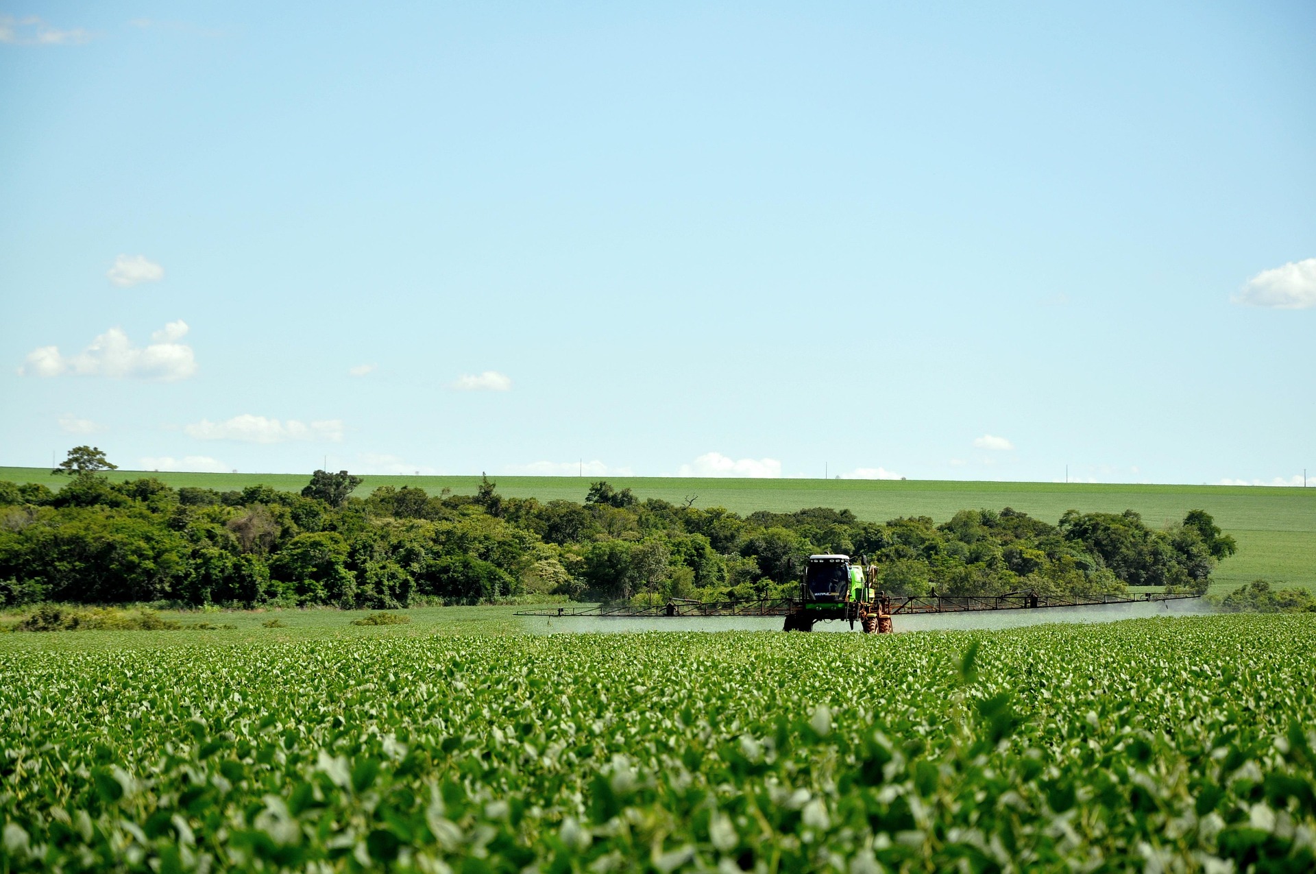 Cursos gratuitos abordam irrigação, barragens subterrâneas e serviços ecossistêmicos na paisagem rural